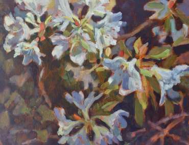 Thumbnail image of Lesley Brooks, 'Rhododendron' - Inspired |  May