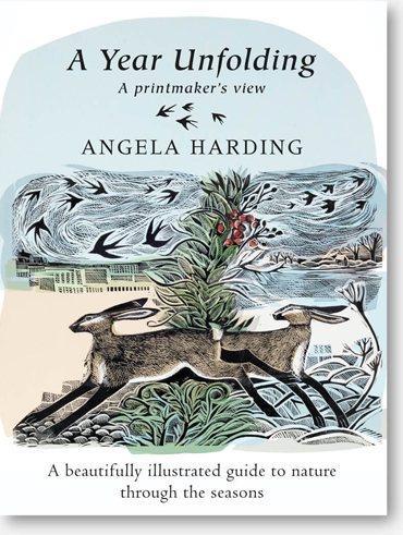 Angela Harding, A Year Unfolding, cover