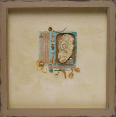 Thumbnail image of Miss Clara Knight's Curious Collections, Seashore Specimens (iii) by Joy Norman