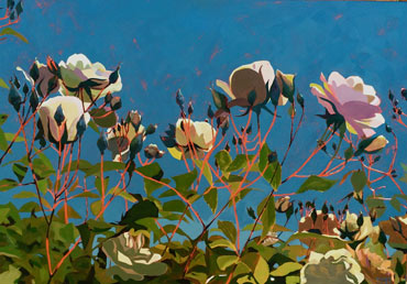 Thumbnail image of Rose Garden by Lisa Timmerman