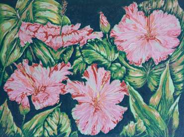 Darling Hibiscus by Mandeep Dhadialla