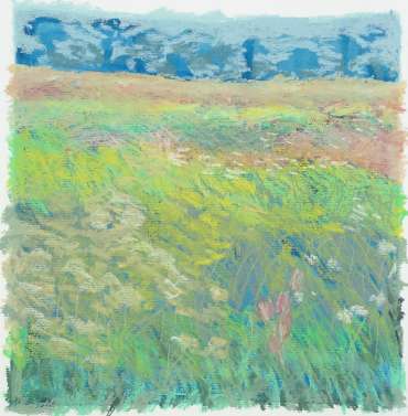 Brocks Hill Meadow 3 by Margaret Chapman