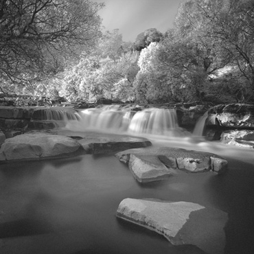Thumbnail image of wath Force by Michael Moralee
