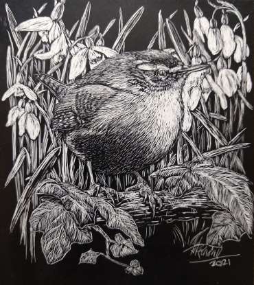 Wren and Snowdrops by Ruth Randall
