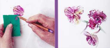 Thumbnail image of Vivienne Cawson, 'The Kew Book of Painting Orchids in Watercolour' - Vivienne Cawson - The Kew Book of Painting Flowers in Watercolour is published in January 2020