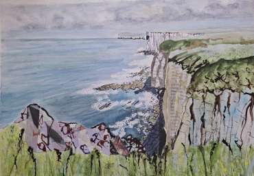 Bempton Cliffs by Christine Pearson