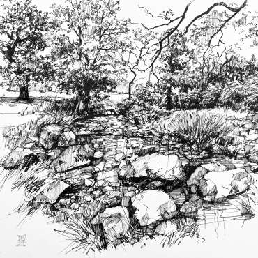 River Lin, Bradgate Park by Deborah Bird