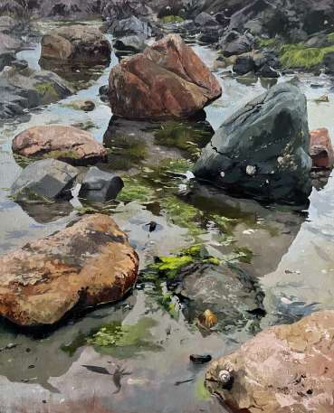 Tide Pool by Ian Cox