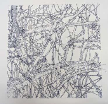 Entangled by Jane Adams