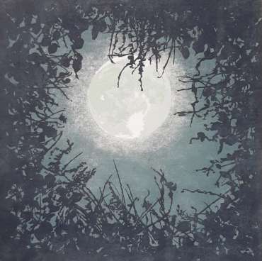 Bracken Moon by Jo McChesney