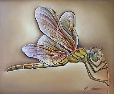 Dragonfly by Lidiya Bukikova