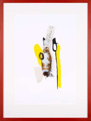 Goldfinch (Scarlet) by Lucy Stevens