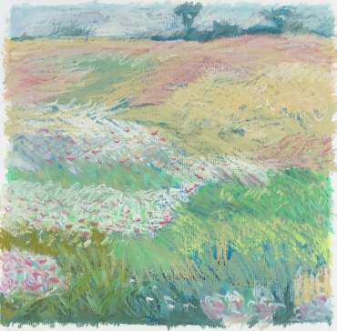 Brocks Hill Meadow 1 by Margaret Chapman