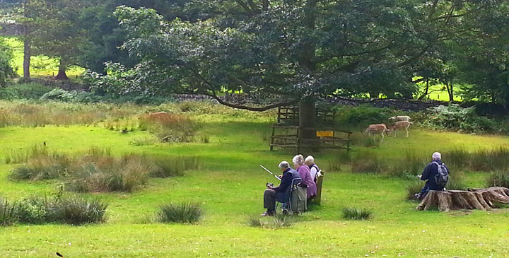 photograph of LSC members sketching at Bradgate Park in August