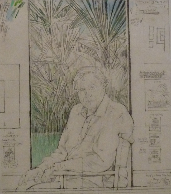 Drawing of David Attenborough by Bryan Organ