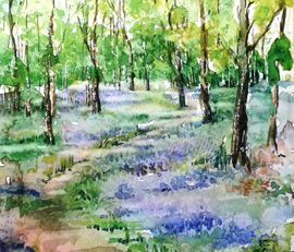 Introduction image for Paint Bluebells In Watercolour With Rita Sadler