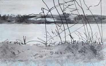 Sue Barry 'Bradgate Windows' Painting by Sue Barry