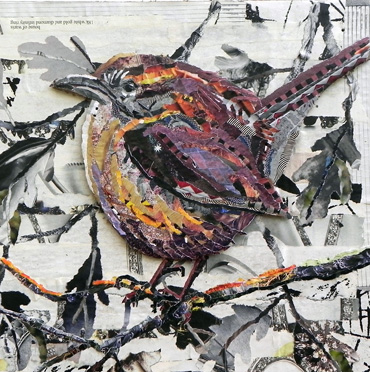 collage by Danielle Vaughan