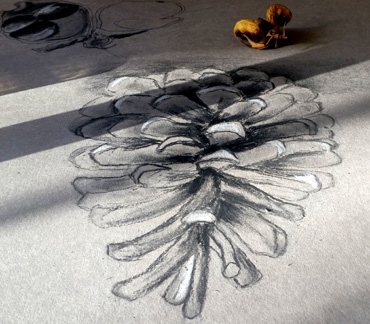 Drawing by Jo Sheppard