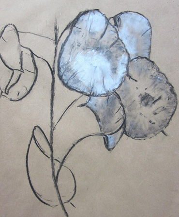 Beginners drawing