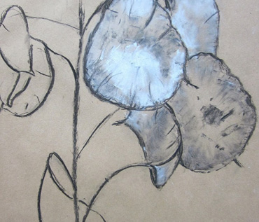 Drawing for Beginners Workshop - Quorn Art Group