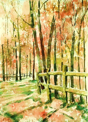 Watercolour by Rita Sadler