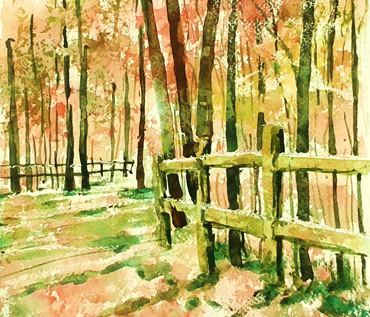 'Painting Autumn' Watercolour Workshop - Rita Sadler