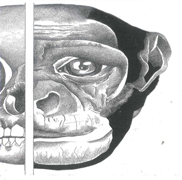 Thumbnail image of Stephanie Greetham - Loughborough College - Little Selves - Browse Artworks A-Z