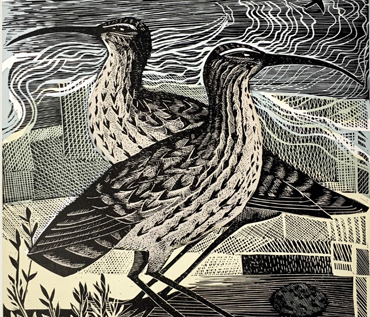 print by Angela Harding