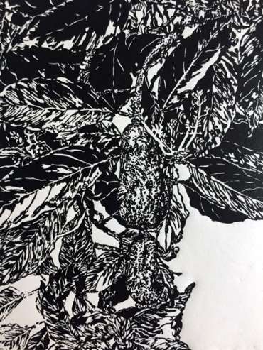 Thumbnail image of Mandeep Dhadialla, 'Garden Avocado' - Inspired | April