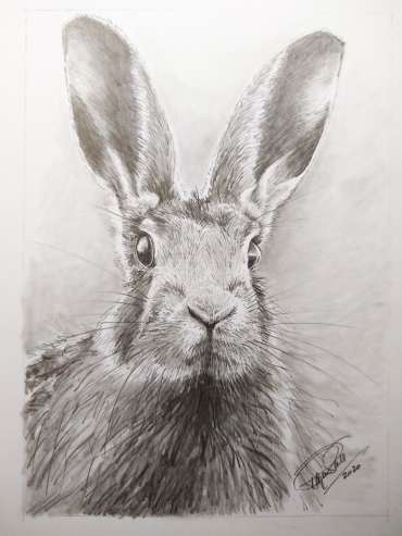 Thumbnail image of Ruth Randall, 'Hare' - Inspired | April