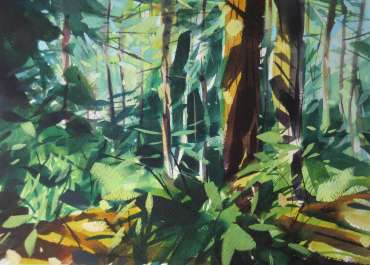 Thumbnail image of Peter Clayton, 'Coastal Pines - Amongst Tall Pines' - Inspired |  May
