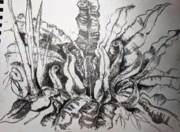 Thumbnail image of Sue Clegg, Garden Study for 'England's Green and Pleasant Lands' - Inspired |  May