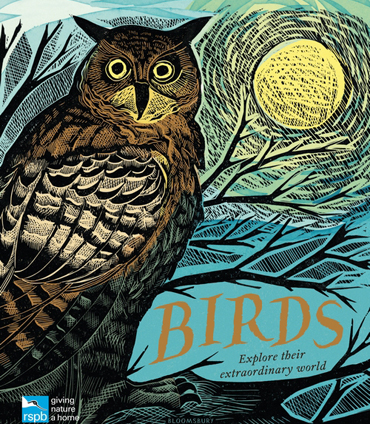 Publications | Birds and their Extraordinary Worlds - illustrated by Angela Harding