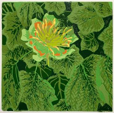 Thumbnail image of 04 &nbsp;|&nbsp; Frank Bingley | Tulip Tree Flower - LSA Annual Exhibition 2021 | Catalogue A - C