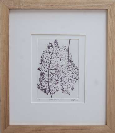 Thumbnail image of 67&nbsp; |&nbsp; Mita Solanky&nbsp; |&nbsp; Dock Leaves (Sepia) - LSA Annual Exhibition 2021 | Catalogue S - Z