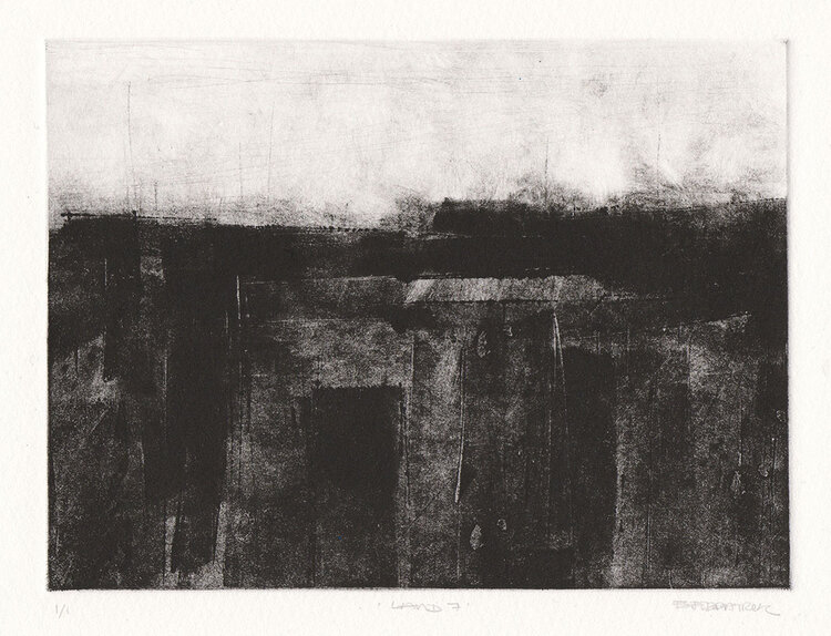 Emma Fitzpatrick, Land No.7