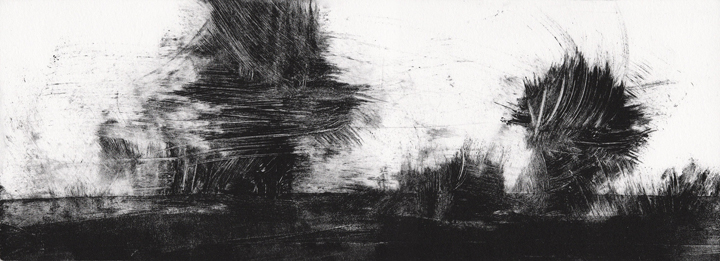 Emma Fitzpatrick at the Tarpey Gallery