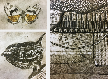 Collagraphs by Jo Sheppard students