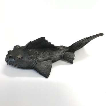 Thumbnail image of 063 | Roderick Hill | Plecostomus - LSA Annual Exhibition 2022 | Catalogue D - J