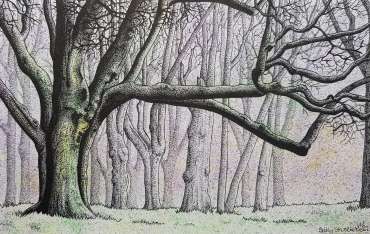 Thumbnail image of 117 | Sally Struskowski | Early Morning Trees - SOLD - LSA Annual Exhibition 2022 | Catalogue S - Z