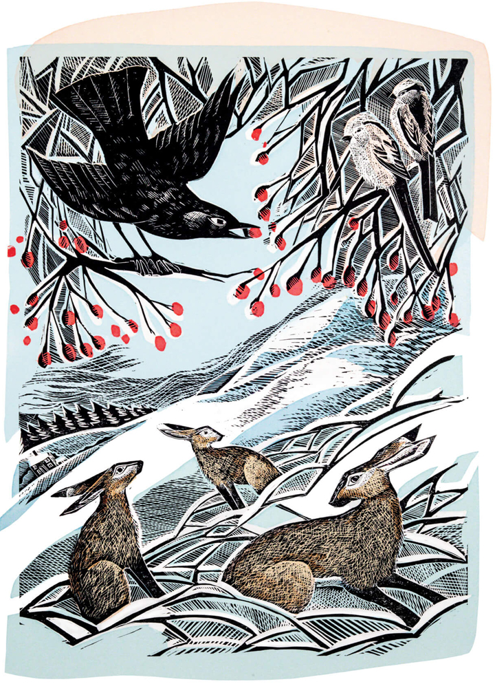 Angla Harding, Winter Hares in Conversation