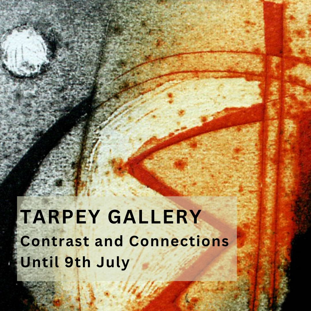 Tarpey Gallery | Contrast and Connections