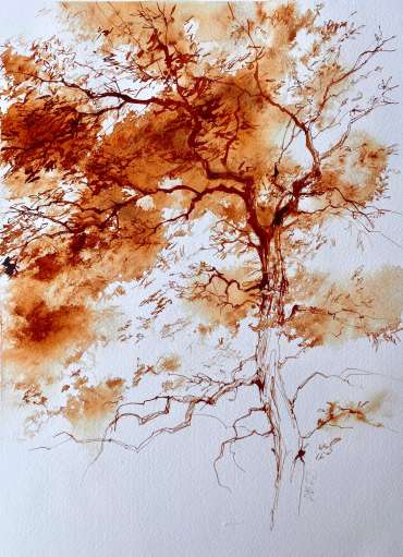 Thumbnail image of 008 Deborah Bird | Ash in Living Memory - LSA Annual Exhibition 2023 | Catalogue A - C
