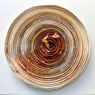 Thumbnail image of 009 Deborah Bird | Limb - LSA Annual Exhibition 2023 | Catalogue A - C