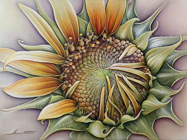 Thumbnail image of 016 Lidiya Bukikova | Sunflower - LSA Annual Exhibition 2023 | Catalogue A - C