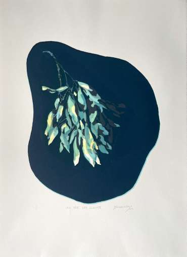 Thumbnail image of 034 Mandeep Dhadiala | Ash Tree Key Cluster Study I - LSA Annual Exhibition 2023 | Catalogue D - J