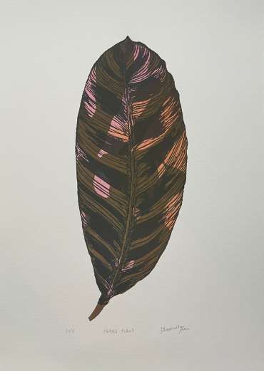 Thumbnail image of 035 Mandeep Dhadiala | Prayer Plant - LSA Annual Exhibition 2023 | Catalogue D - J