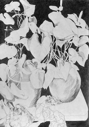Thumbnail image of 055 Diane E Hall | Botanical Shapes &nbsp;&nbsp;SOLD - LSA Annual Exhibition 2023 | Catalogue D - J