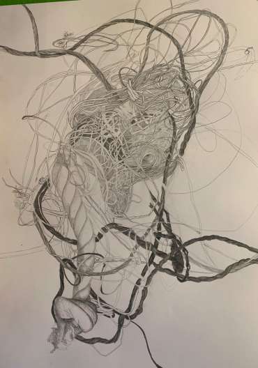 Thumbnail image of 117 Jill Scott | The Tangle of Life - LSA Annual Exhibition 2023 | Catalogue S - Z